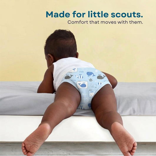 Potty Trained in Weeks not Months